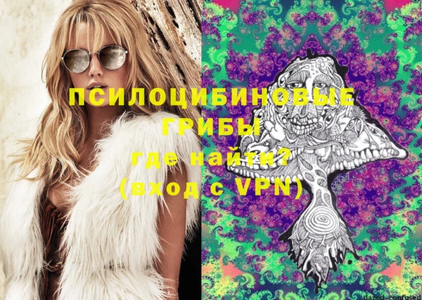 дурь Краснослободск