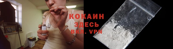 дурь Краснослободск