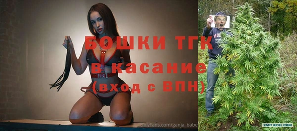 дурь Краснослободск