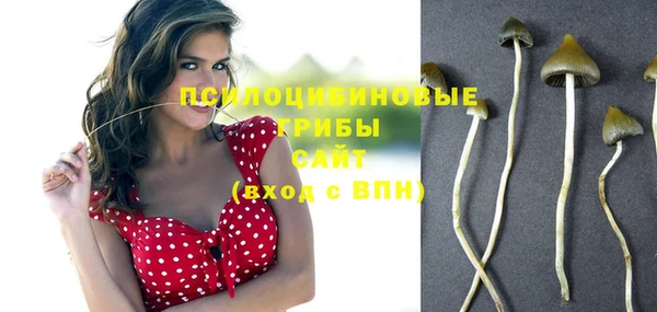 дурь Краснослободск